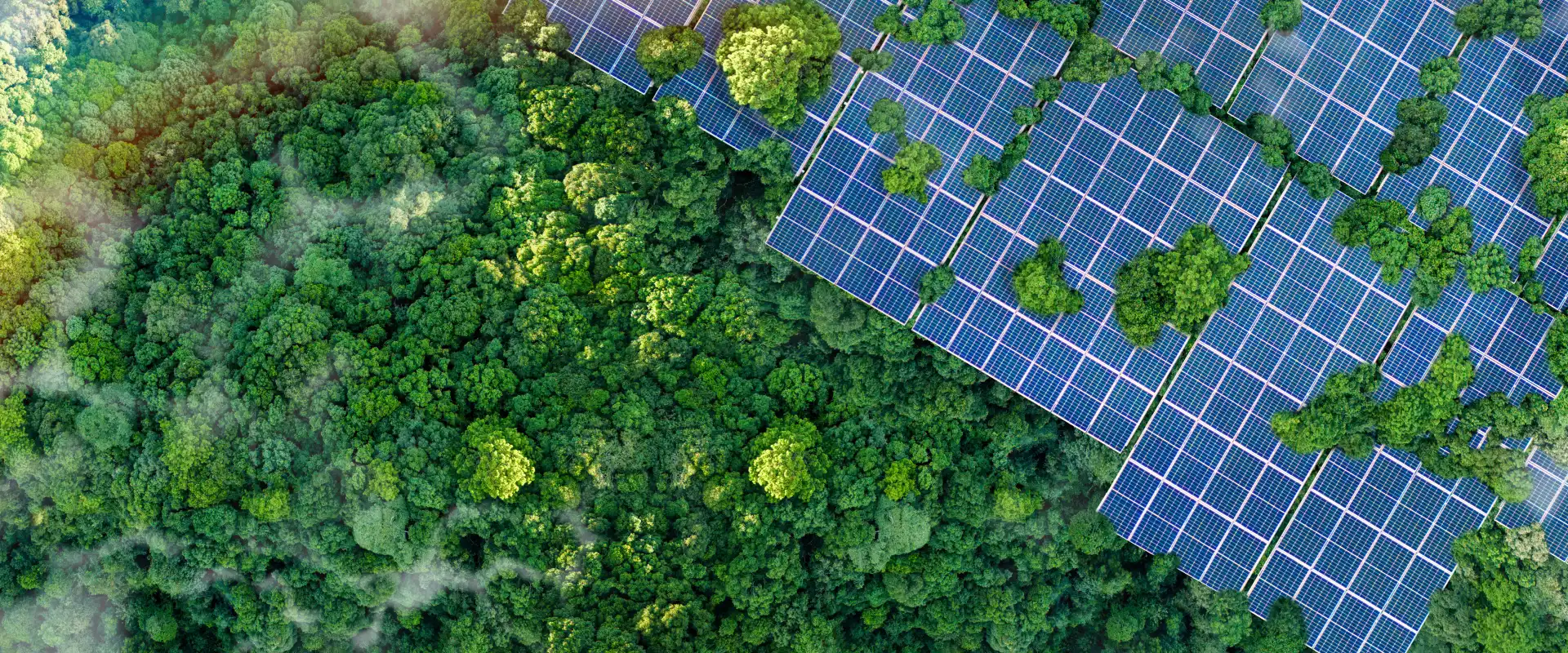 Top Solar Company in Surat - Solar EPC Solutions - Raynex