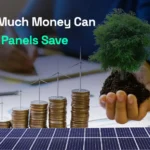 How Much Money Can Solar Panels Save